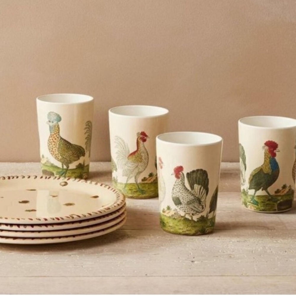 John Derian Kids Dinner Ware Harvest Dishes Dining Set for 4 Birds Squash NIB